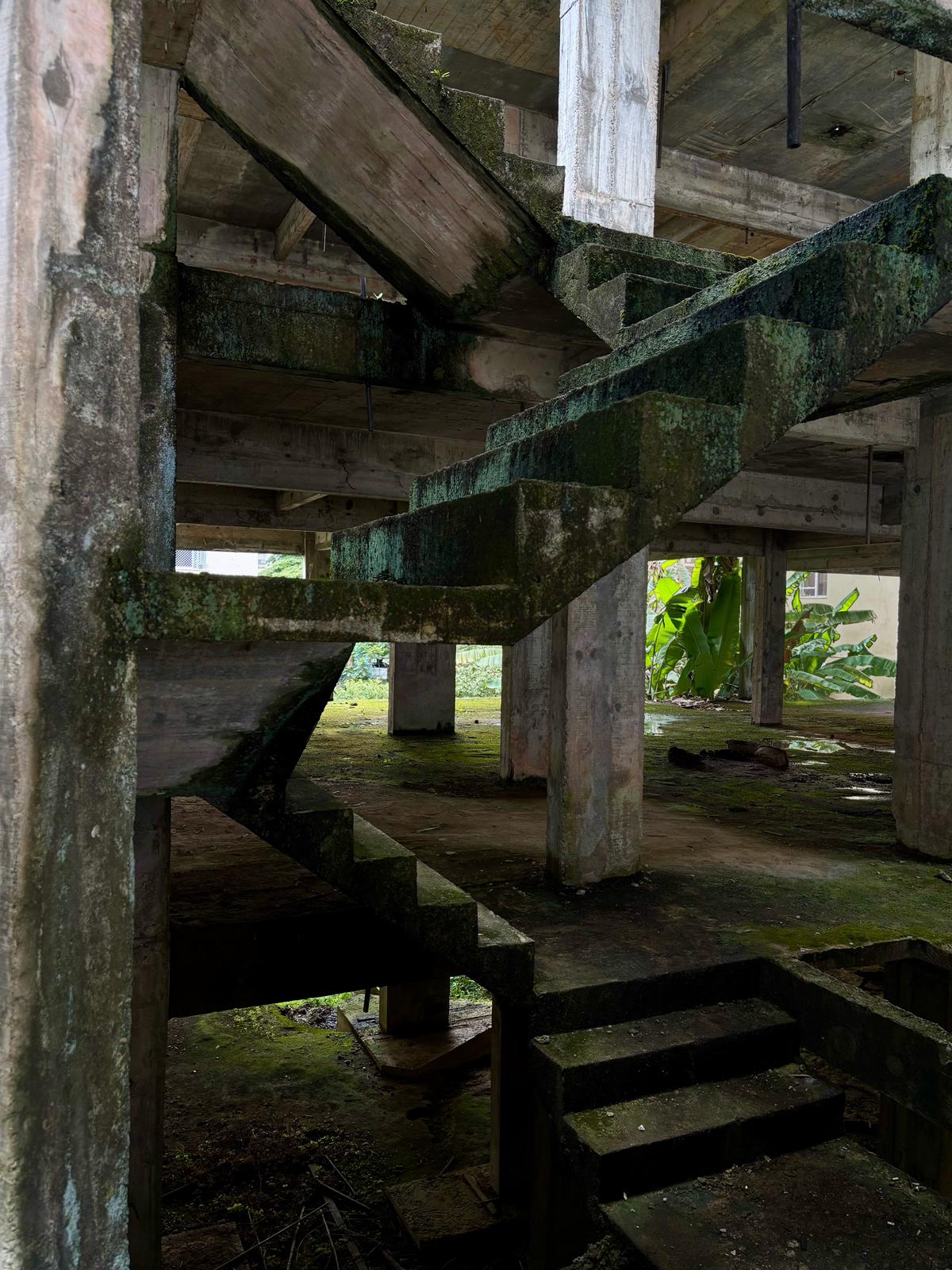 Brazil photograph