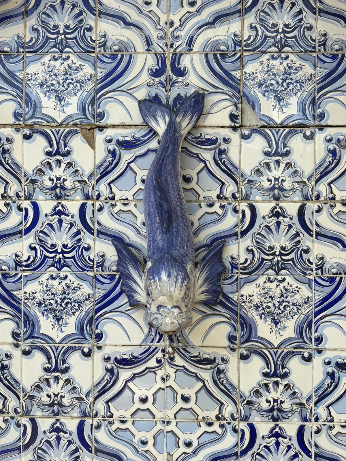 Brazil photograph