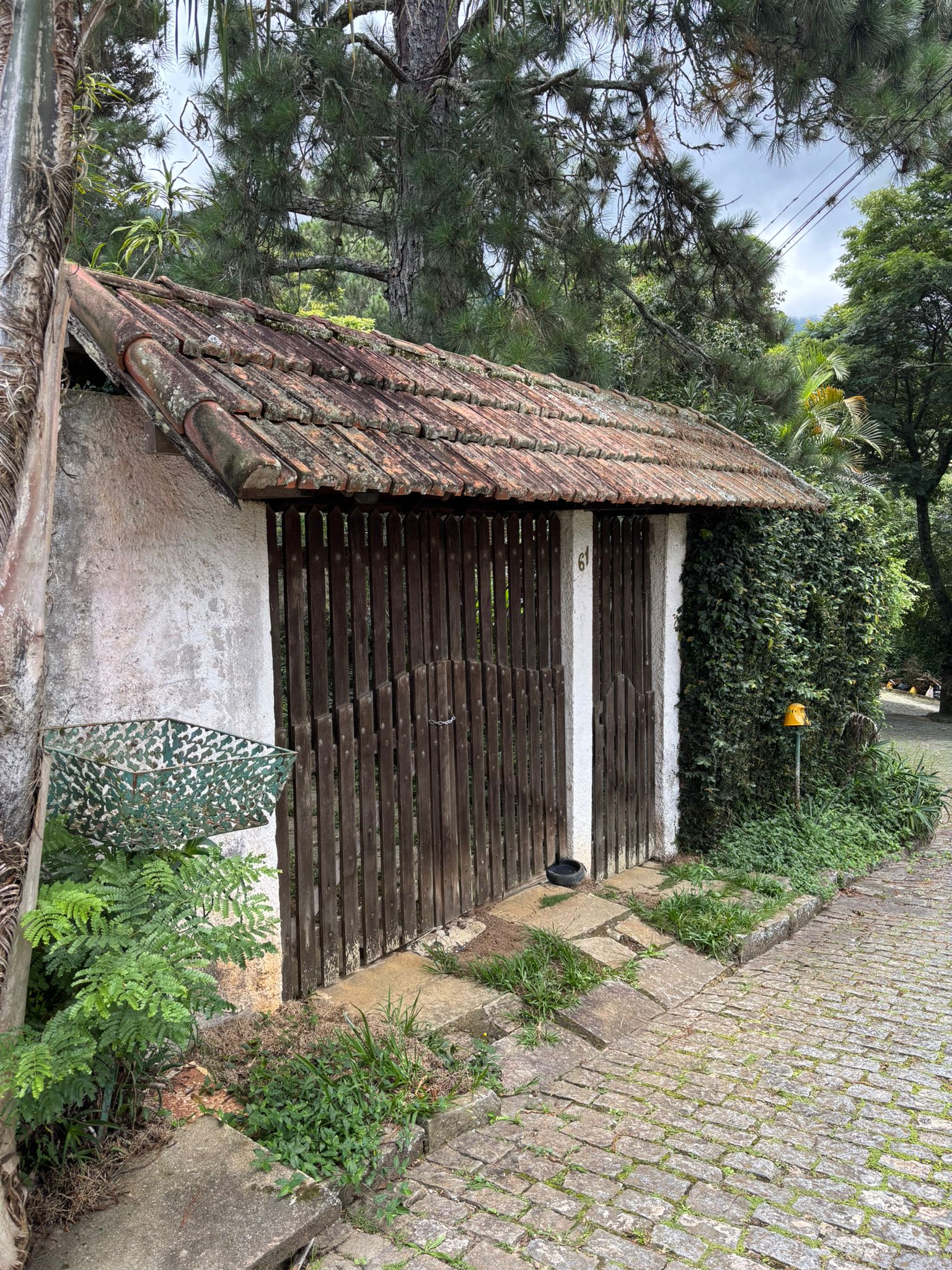 Brazil photograph
