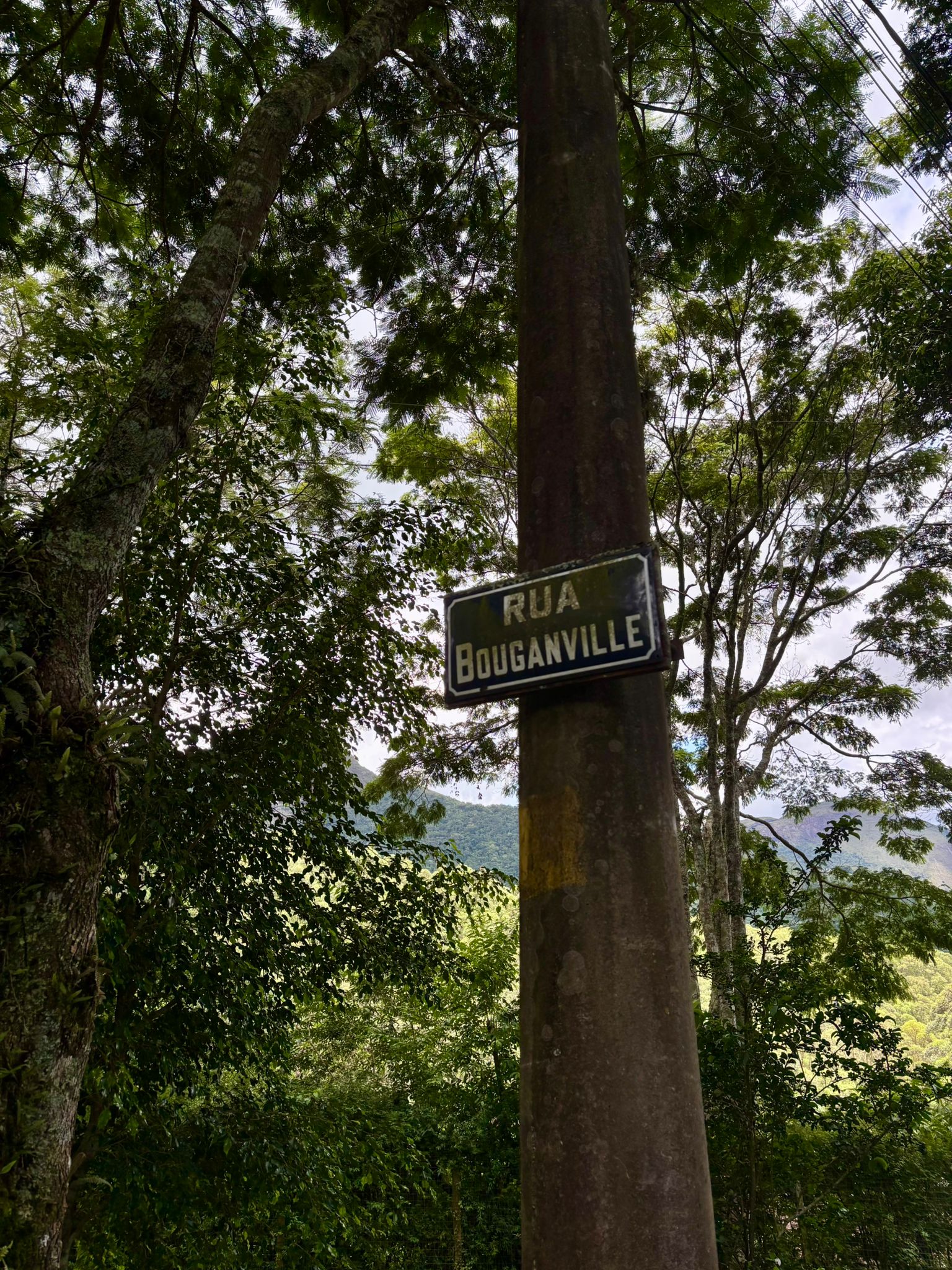 Brazil photograph
