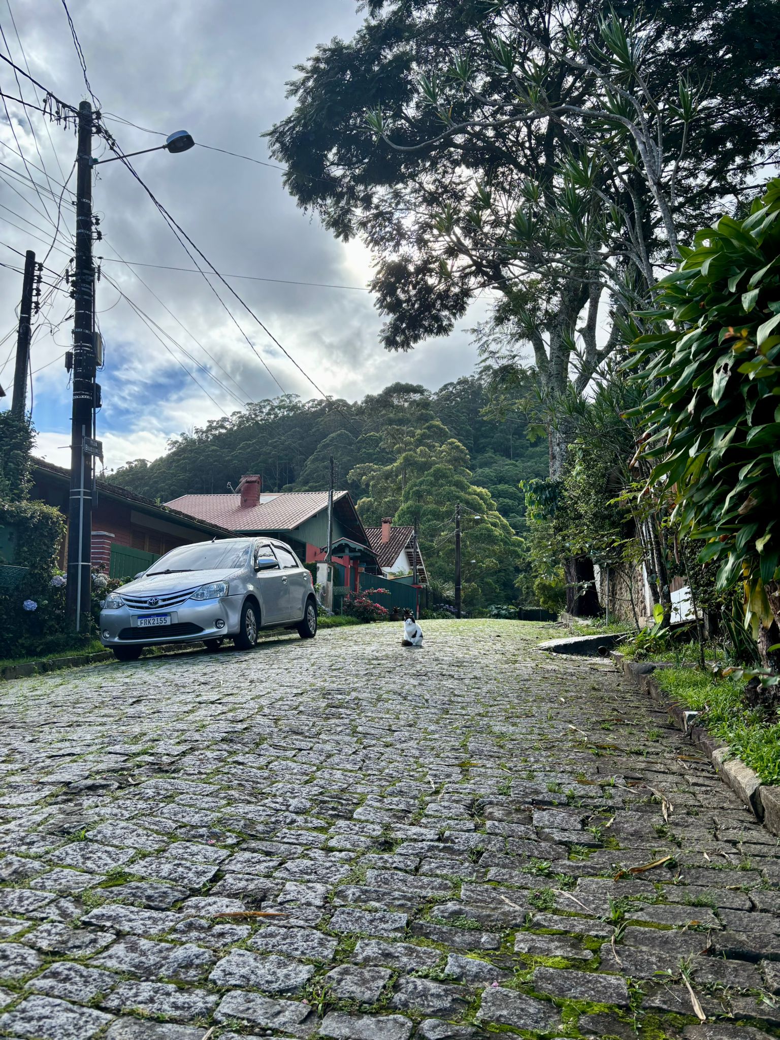 Brazil photograph