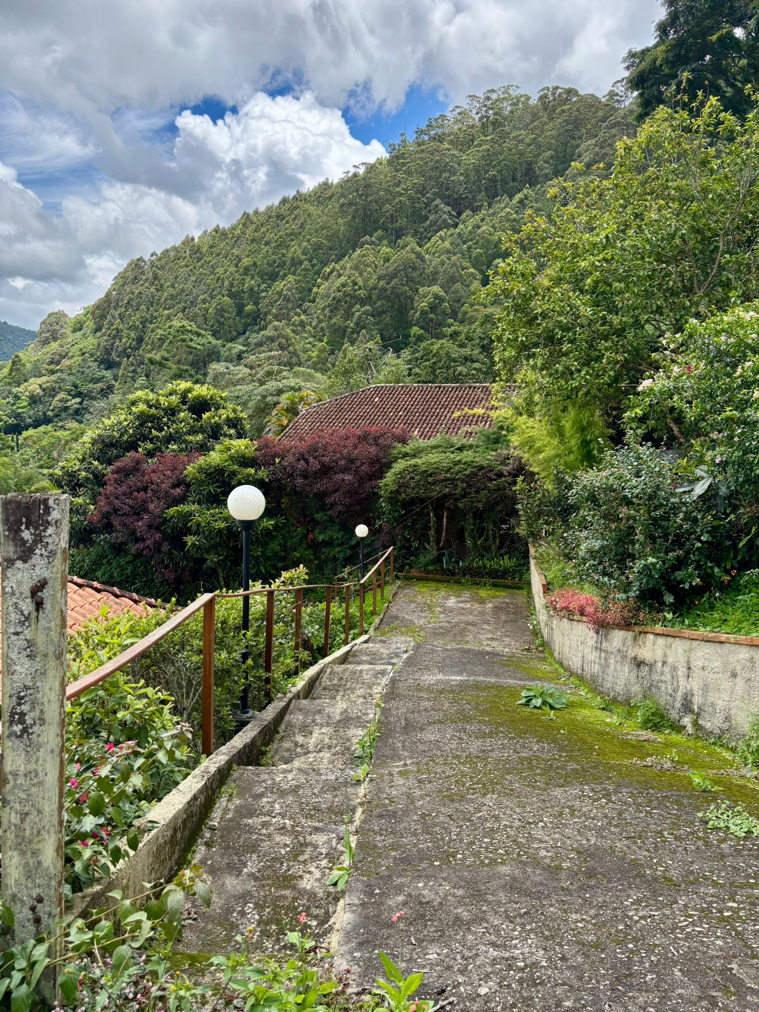 Brazil photograph