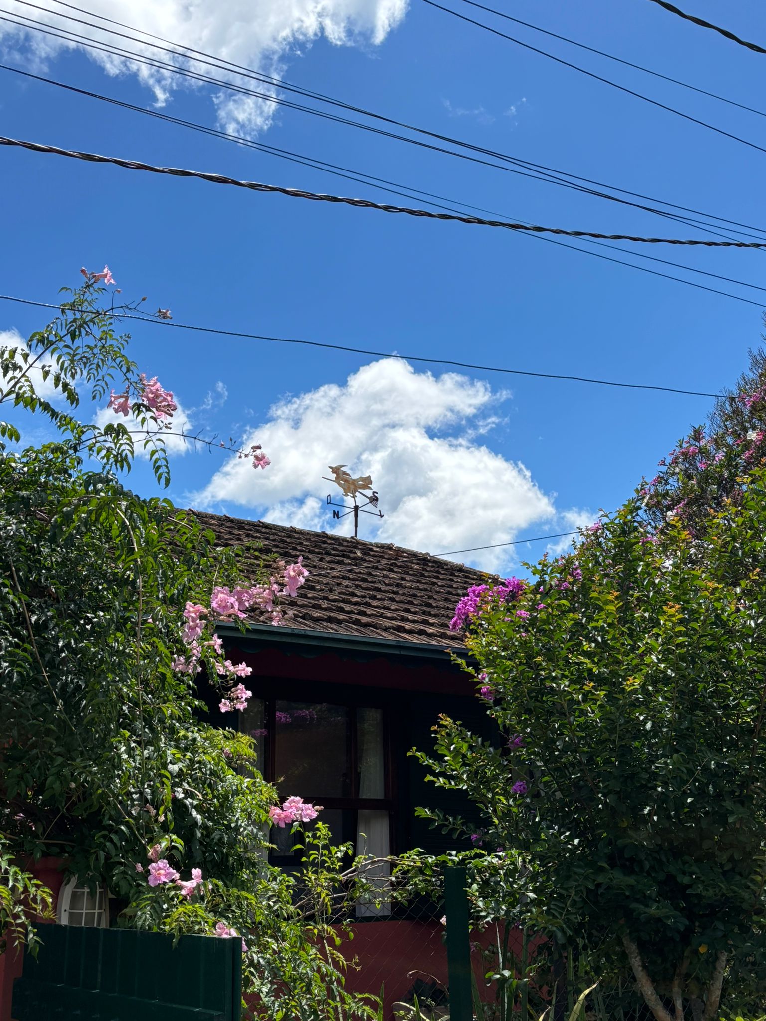 Brazil photograph