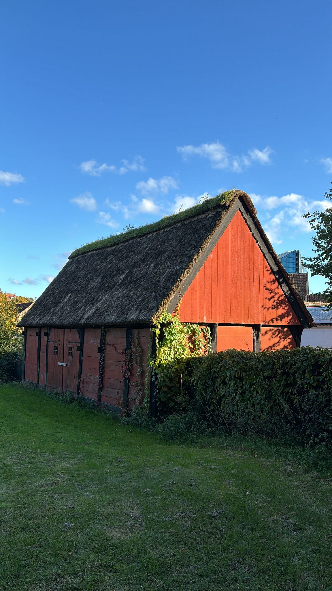 Buildings photograph