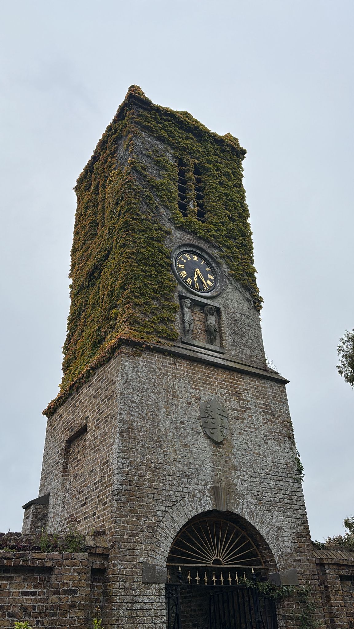Buildings photograph