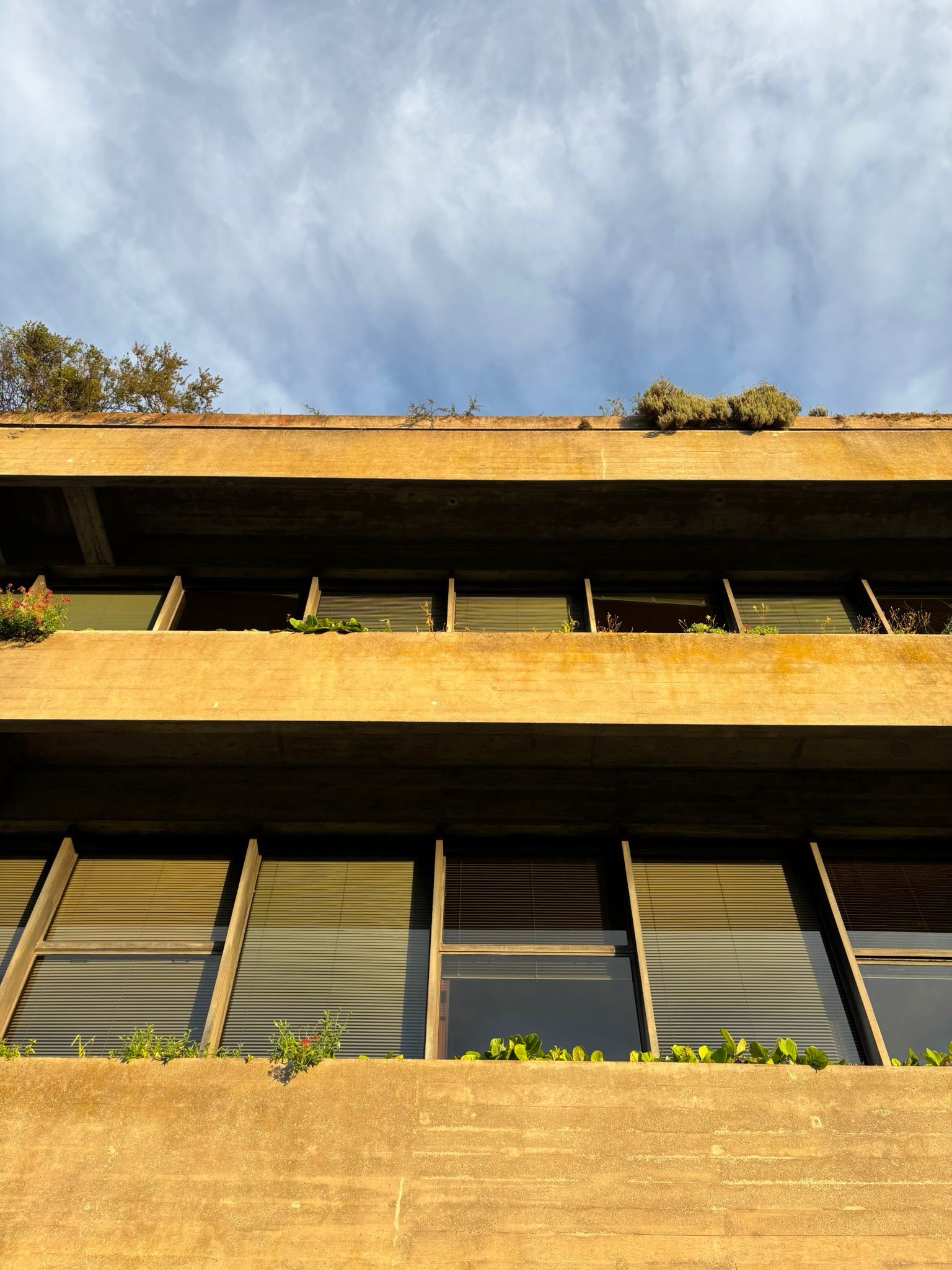 Buildings photograph