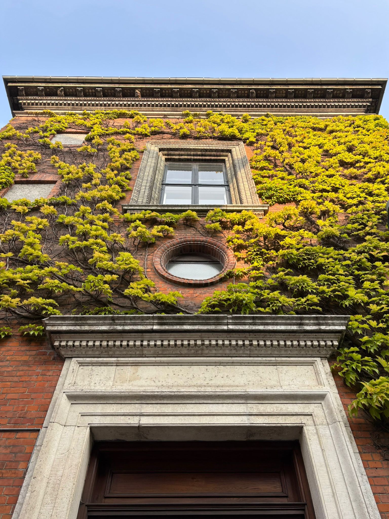 Buildings photograph