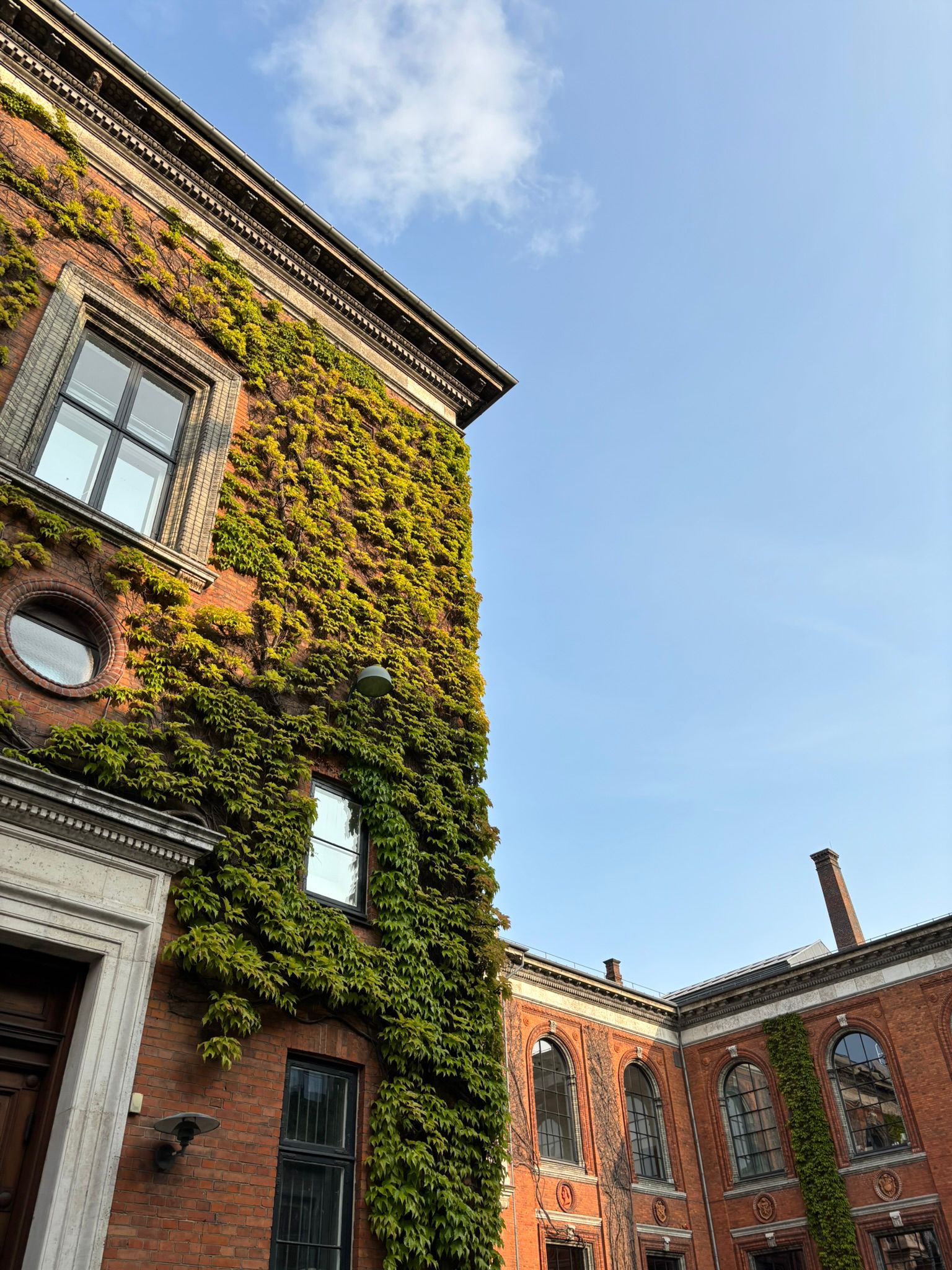 Buildings photograph