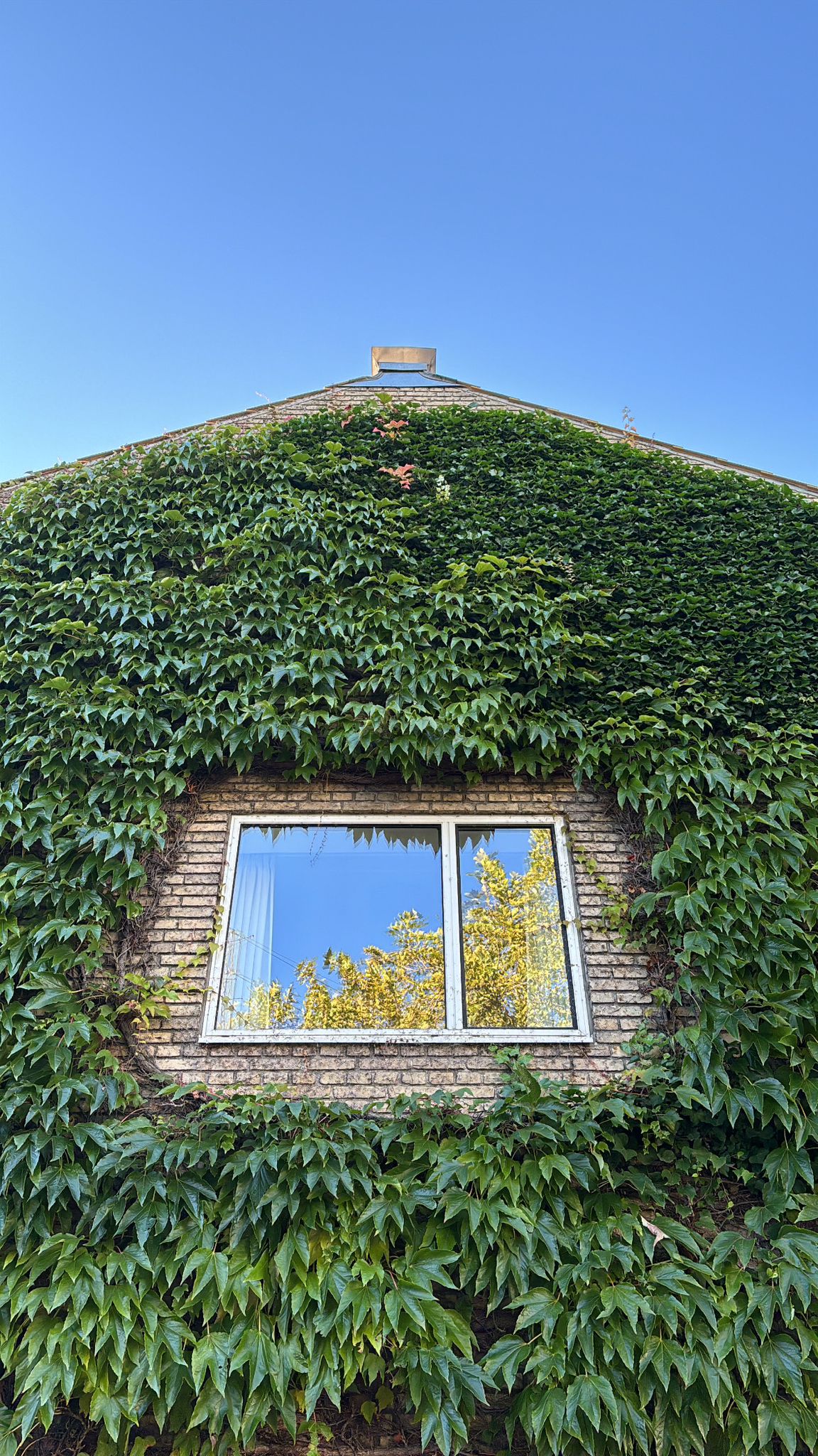 Denmark photograph