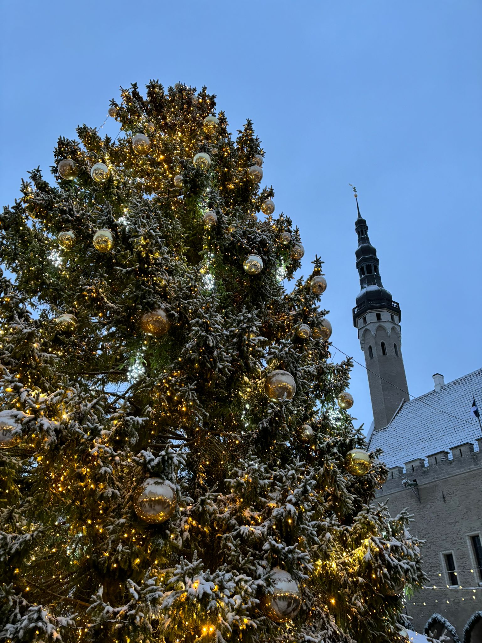 Estonia photograph