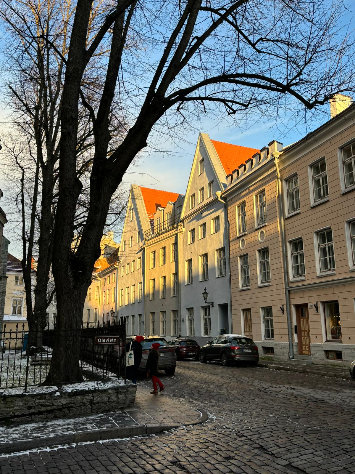 Estonia photograph