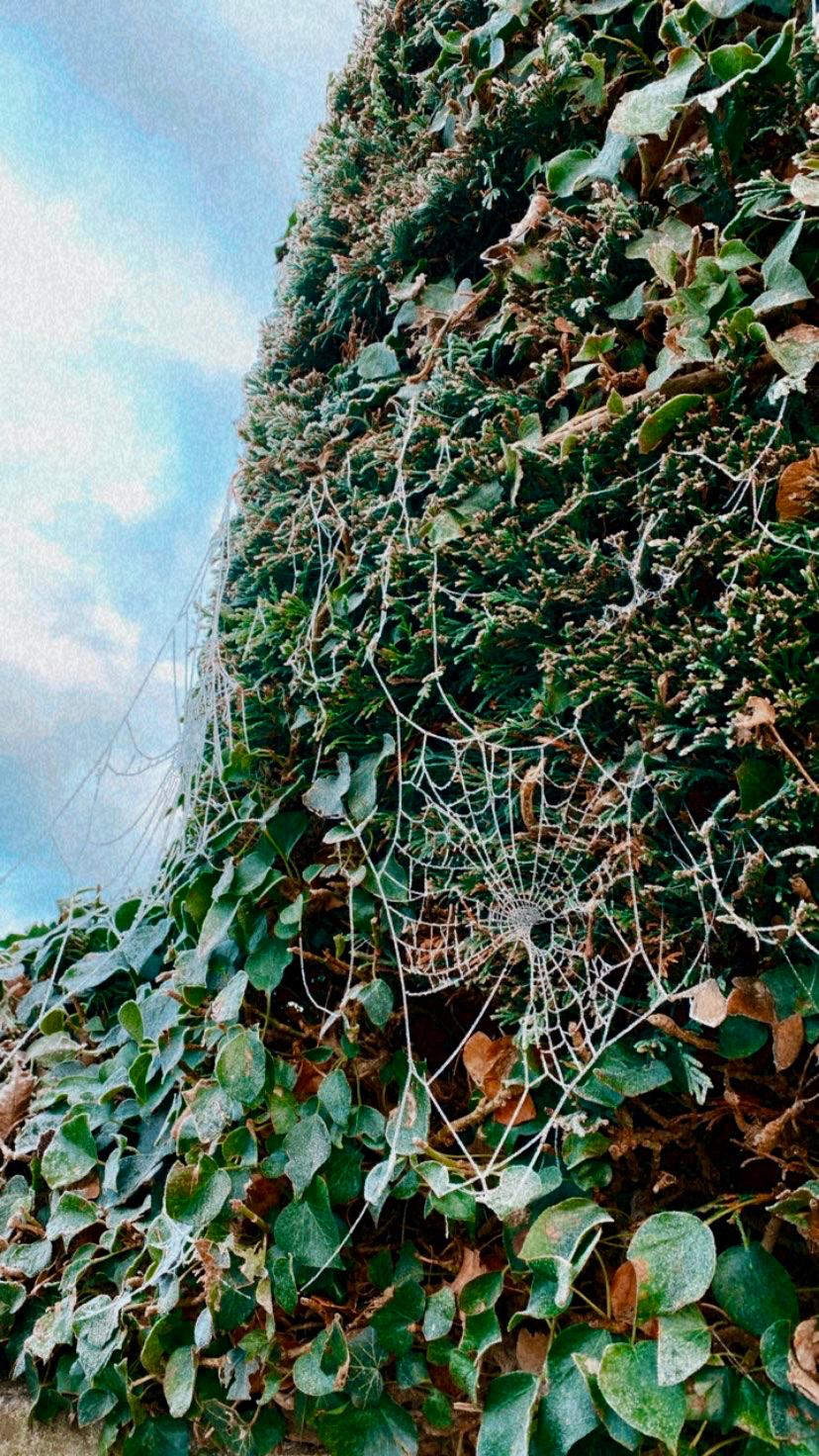 Ireland photograph