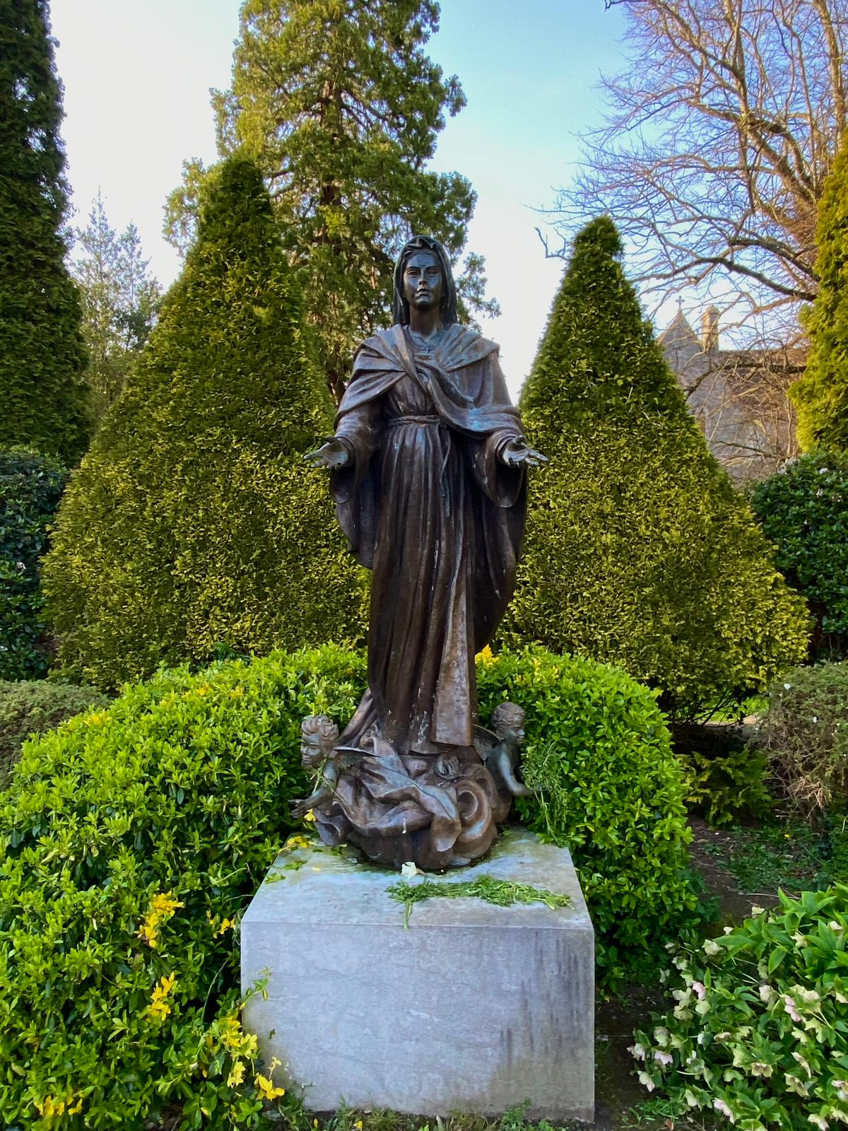 Ireland photograph