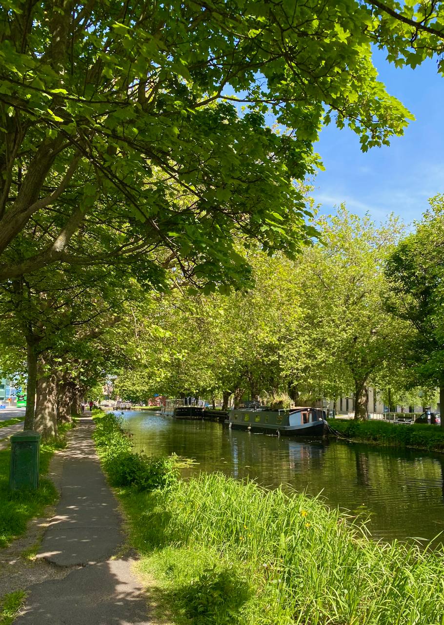 Ireland photograph