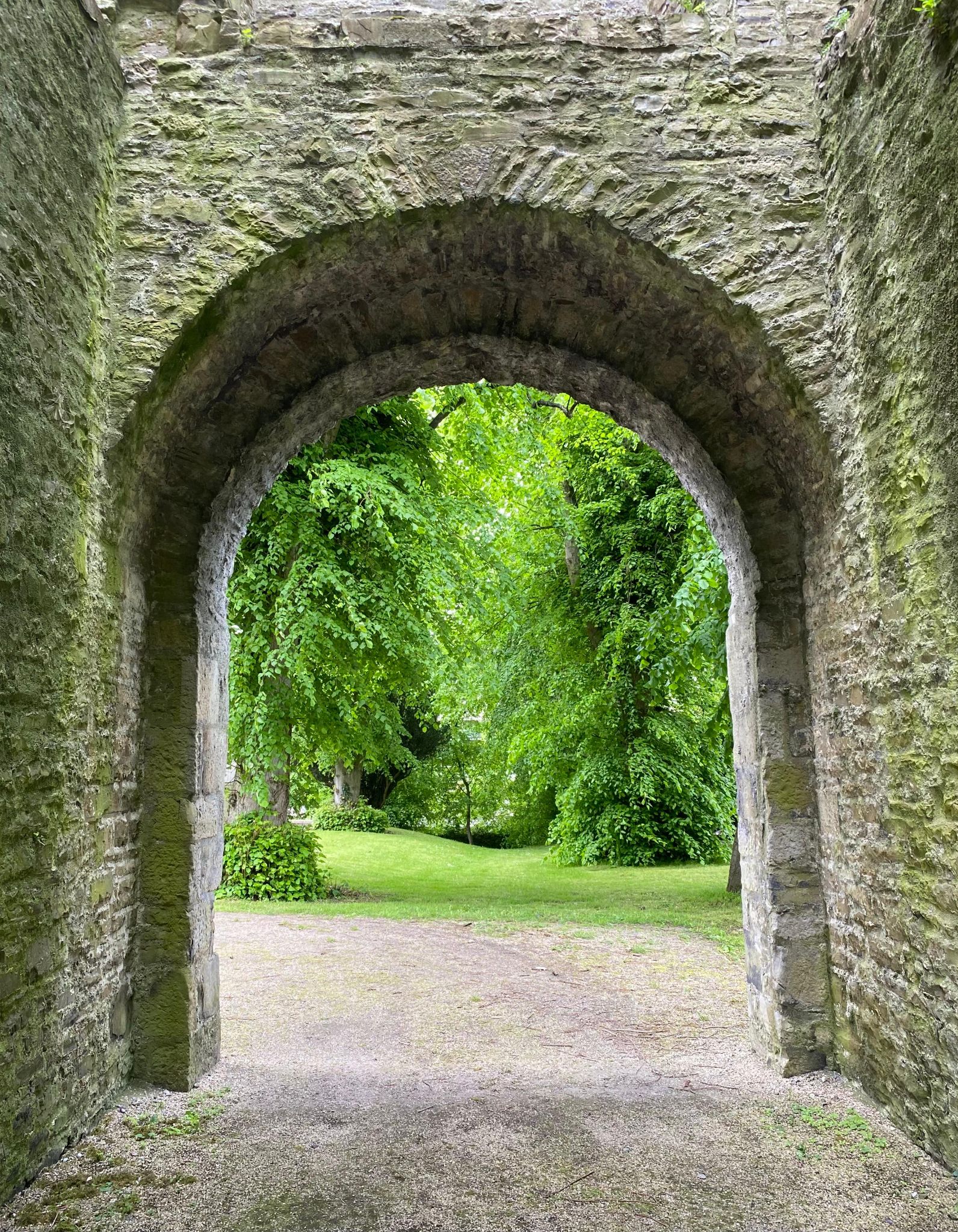 Ireland photograph