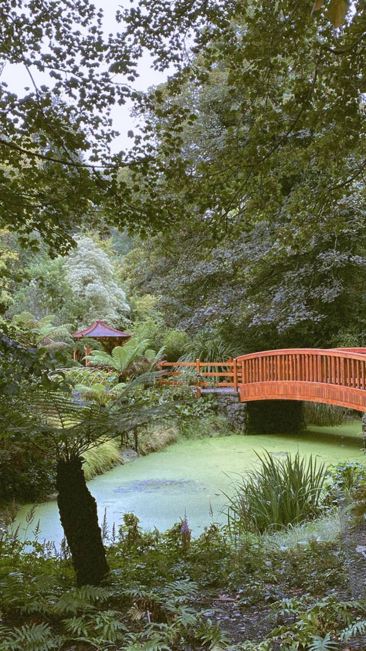 Ireland photograph