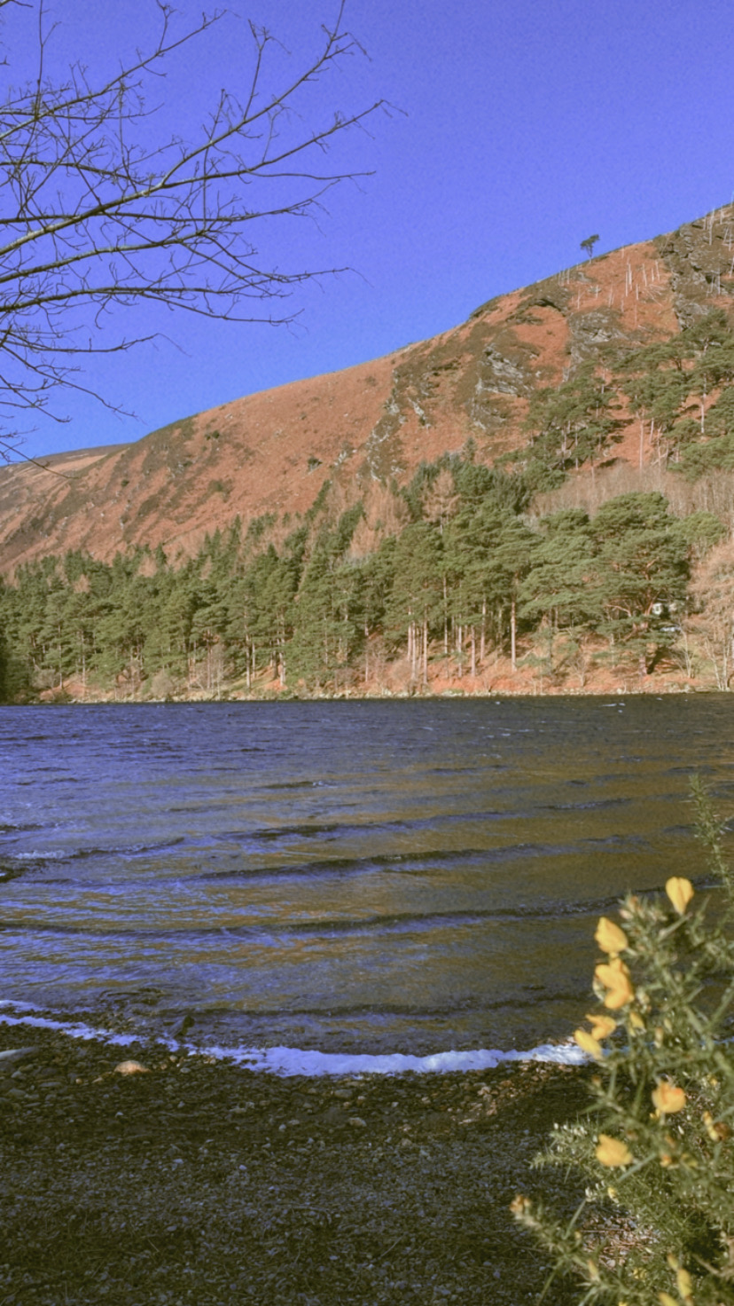 Ireland photograph