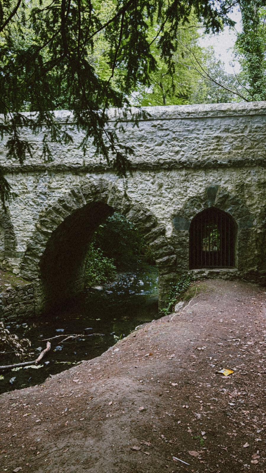 Ireland photograph