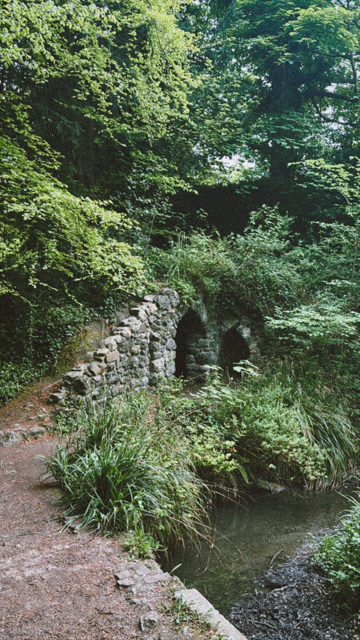 Ireland photograph