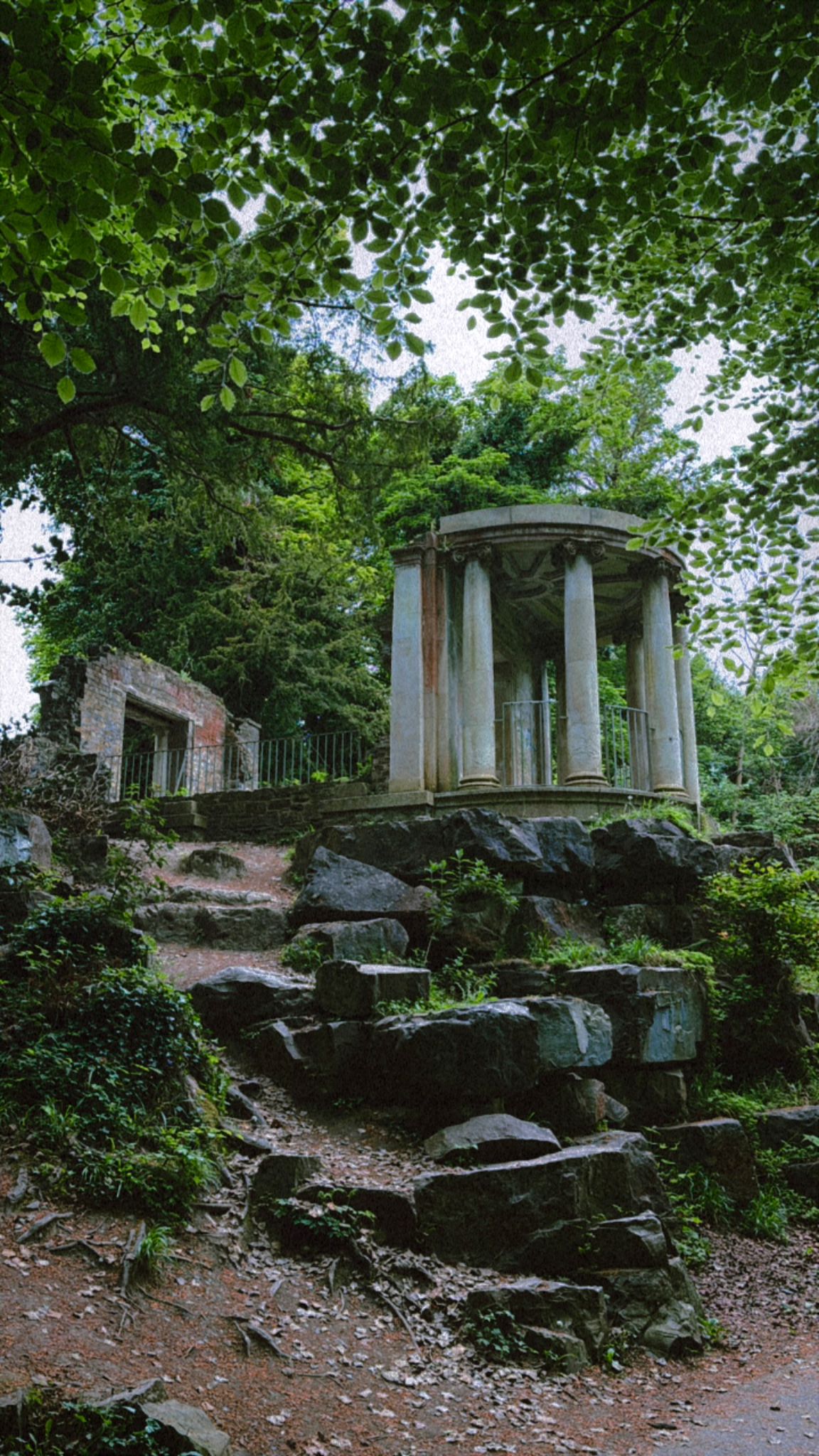 Ireland photograph