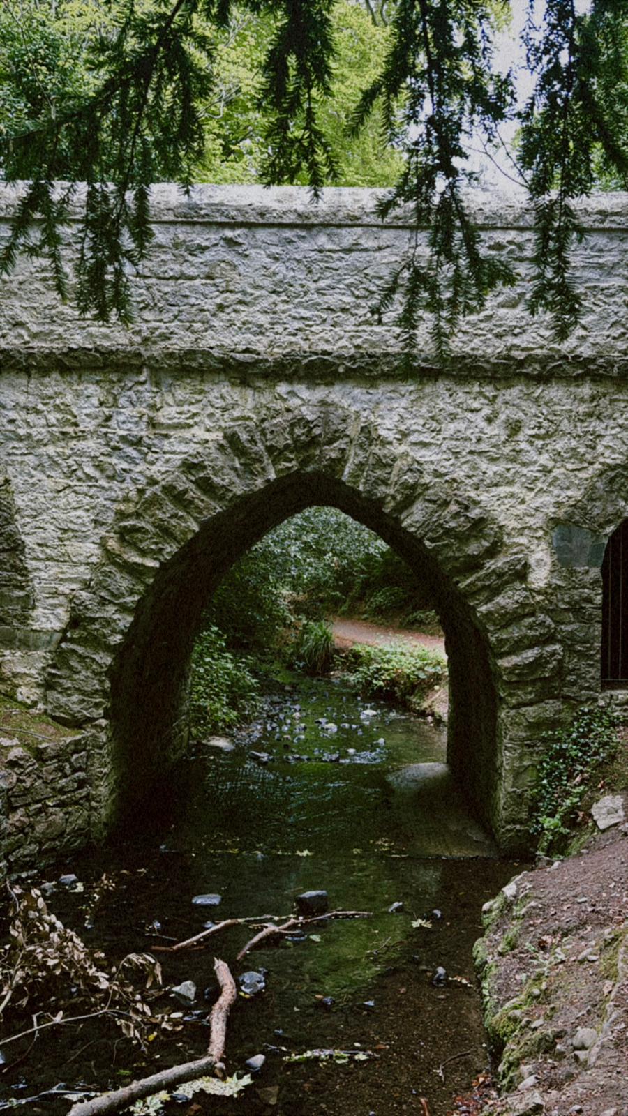 Ireland photograph