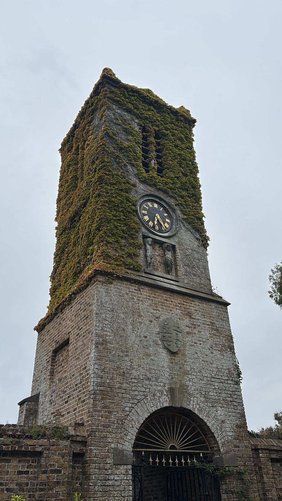 Ireland photograph