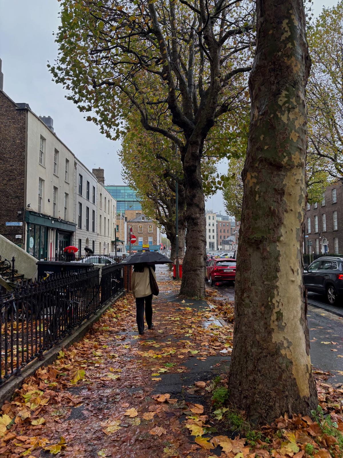Ireland photograph
