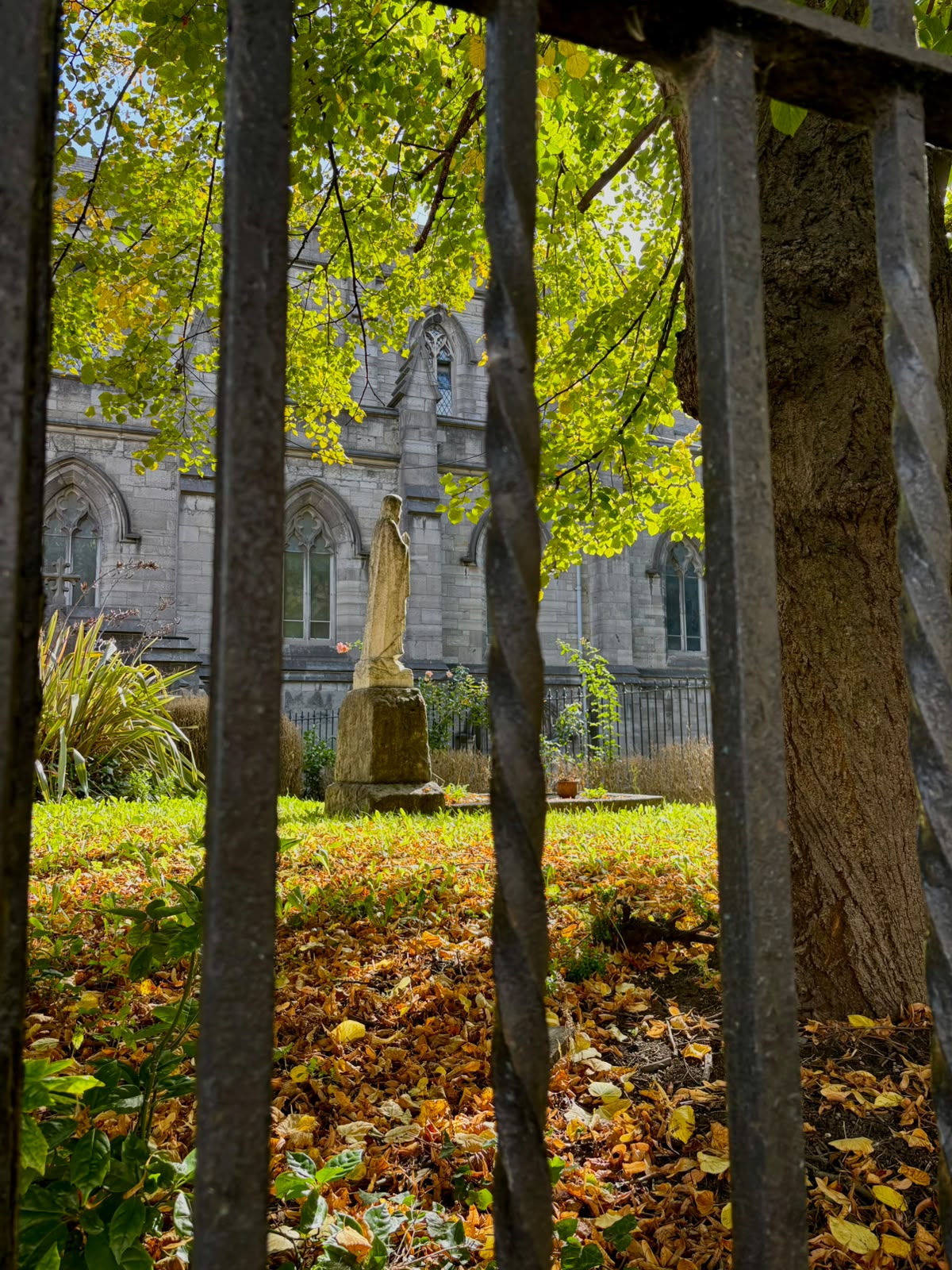 Ireland photograph