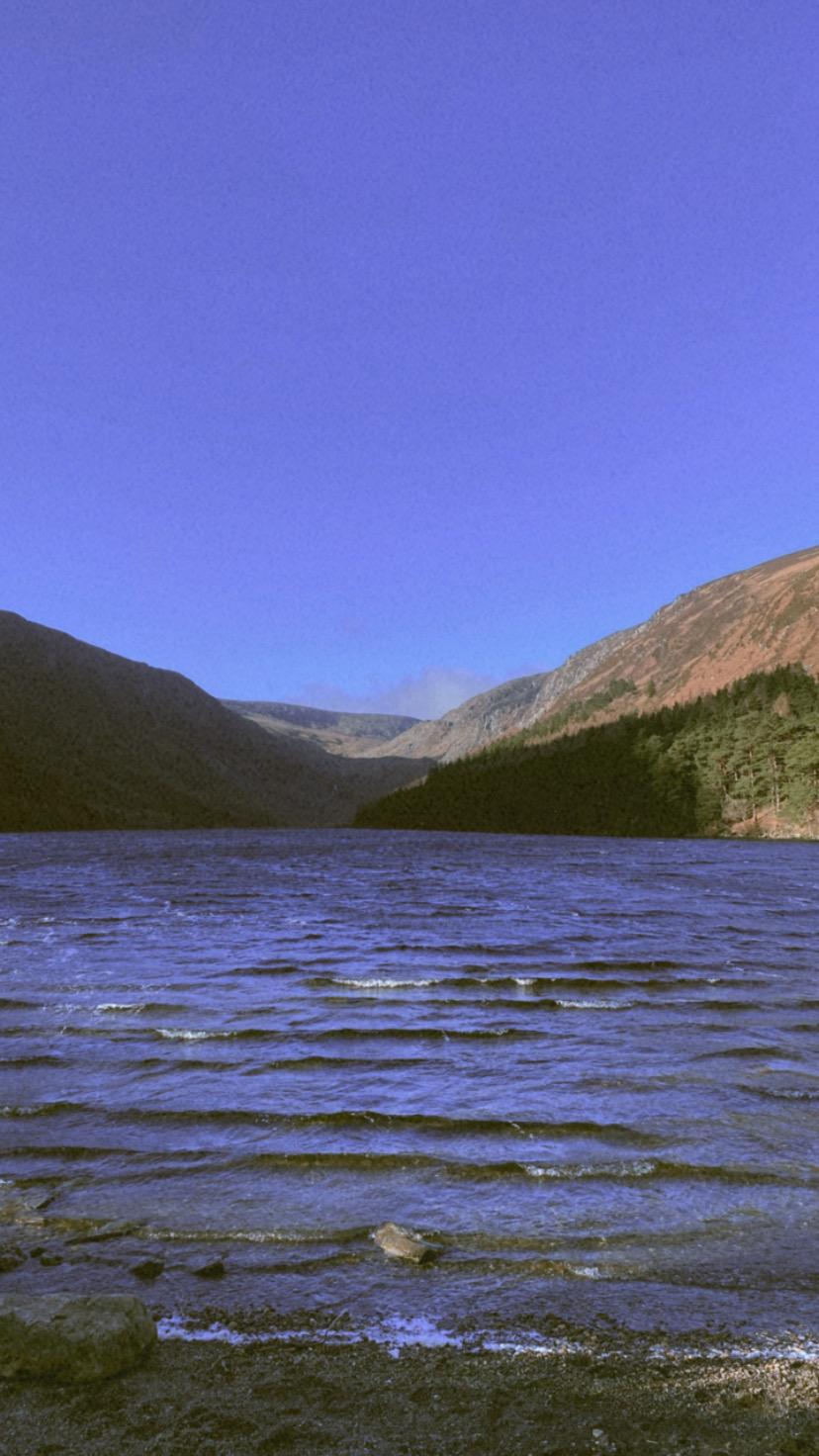 Nature photograph