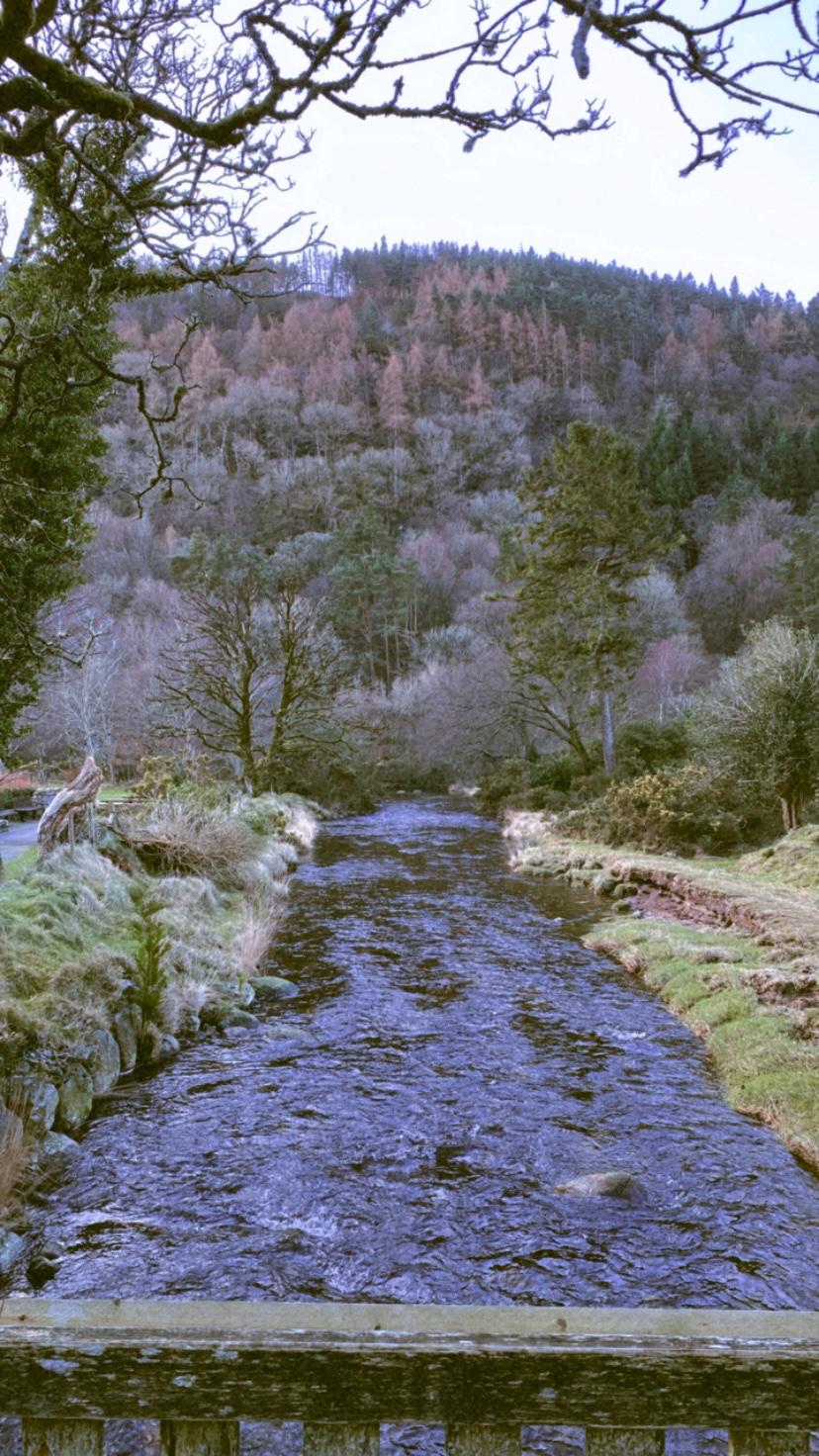 Nature photograph