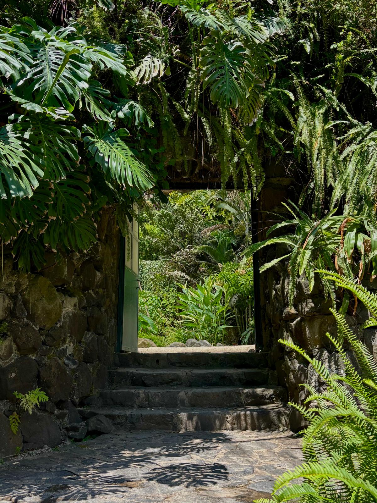 Nature photograph