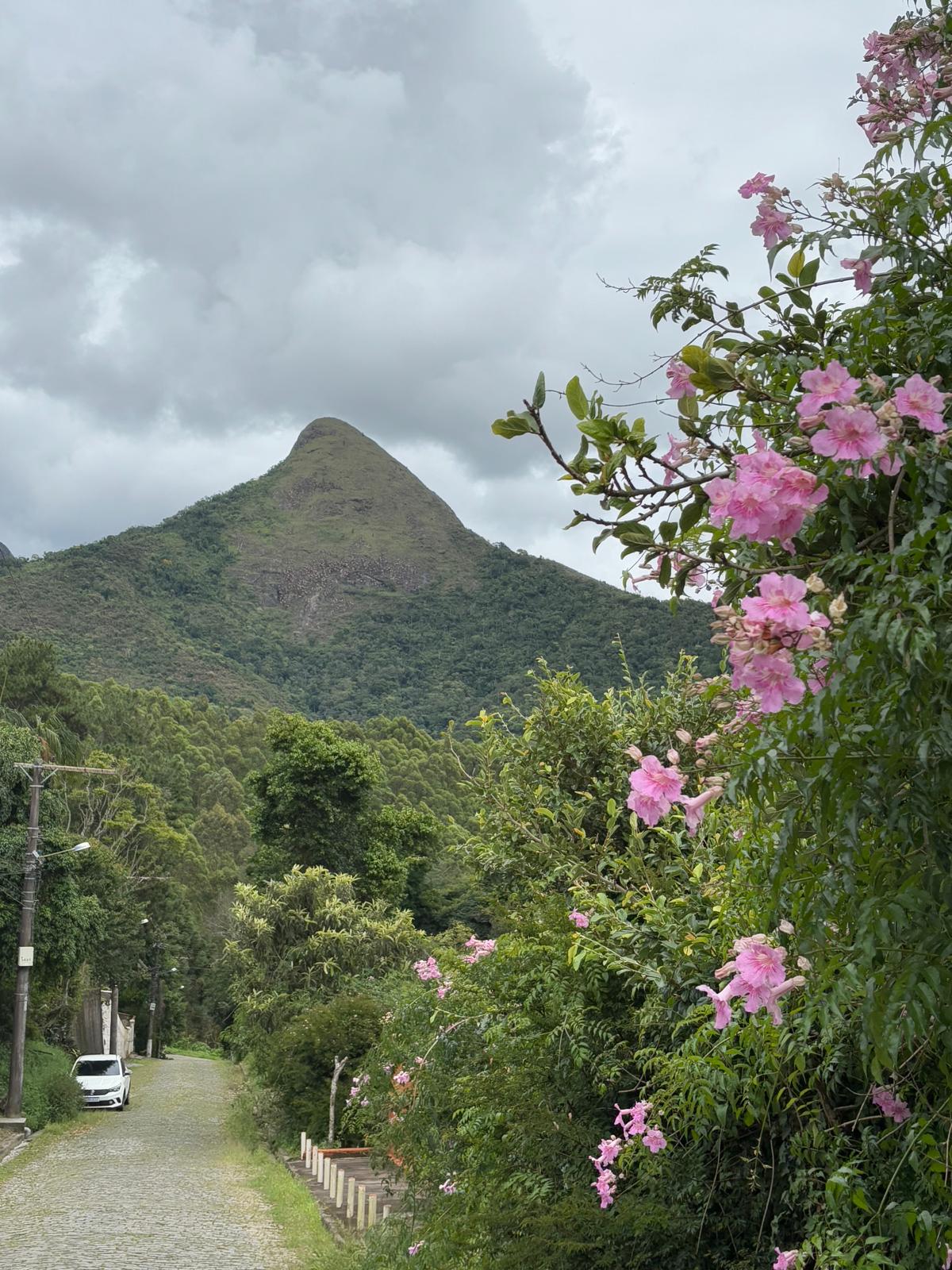 Nature photograph