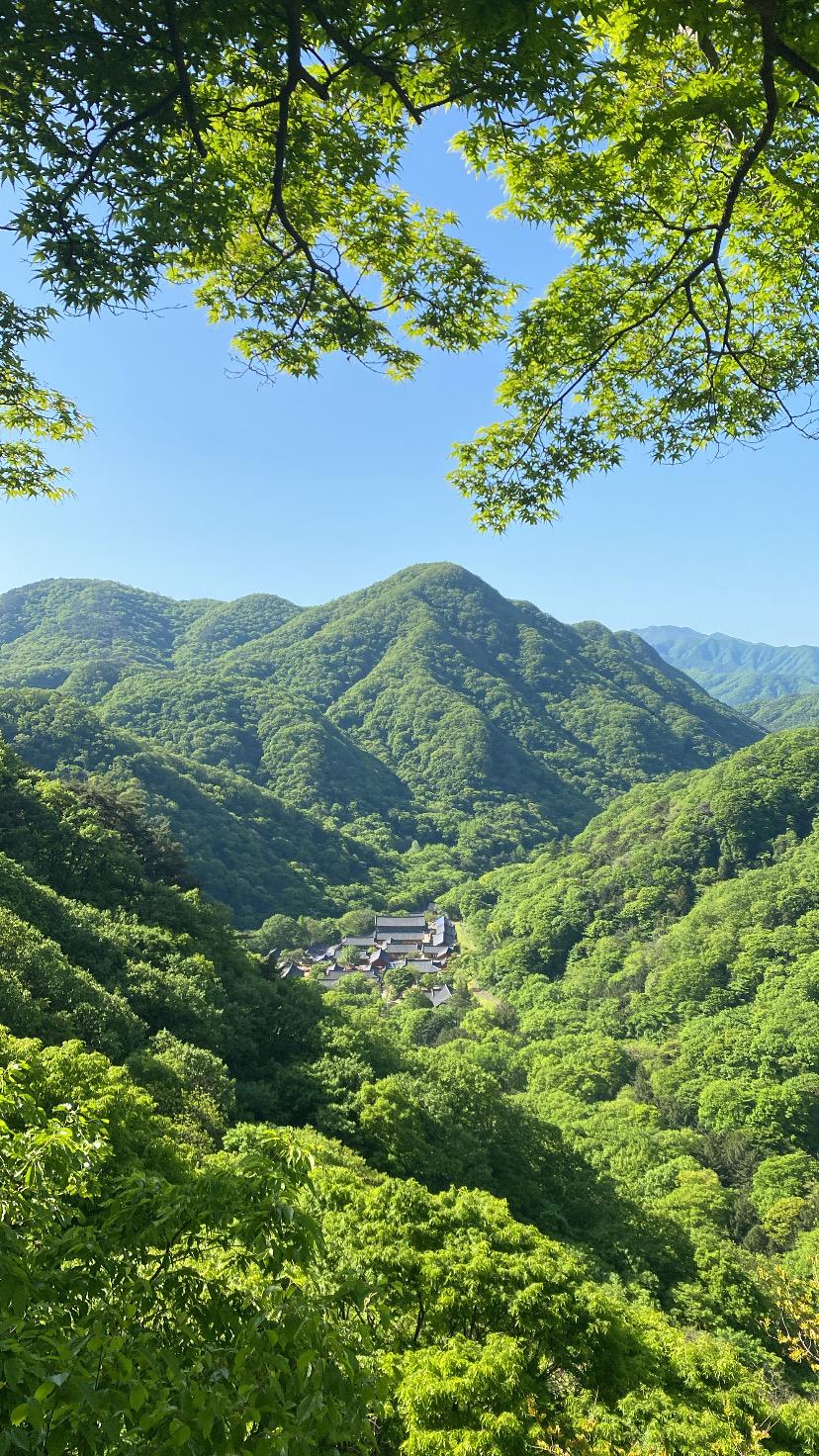 Nature photograph