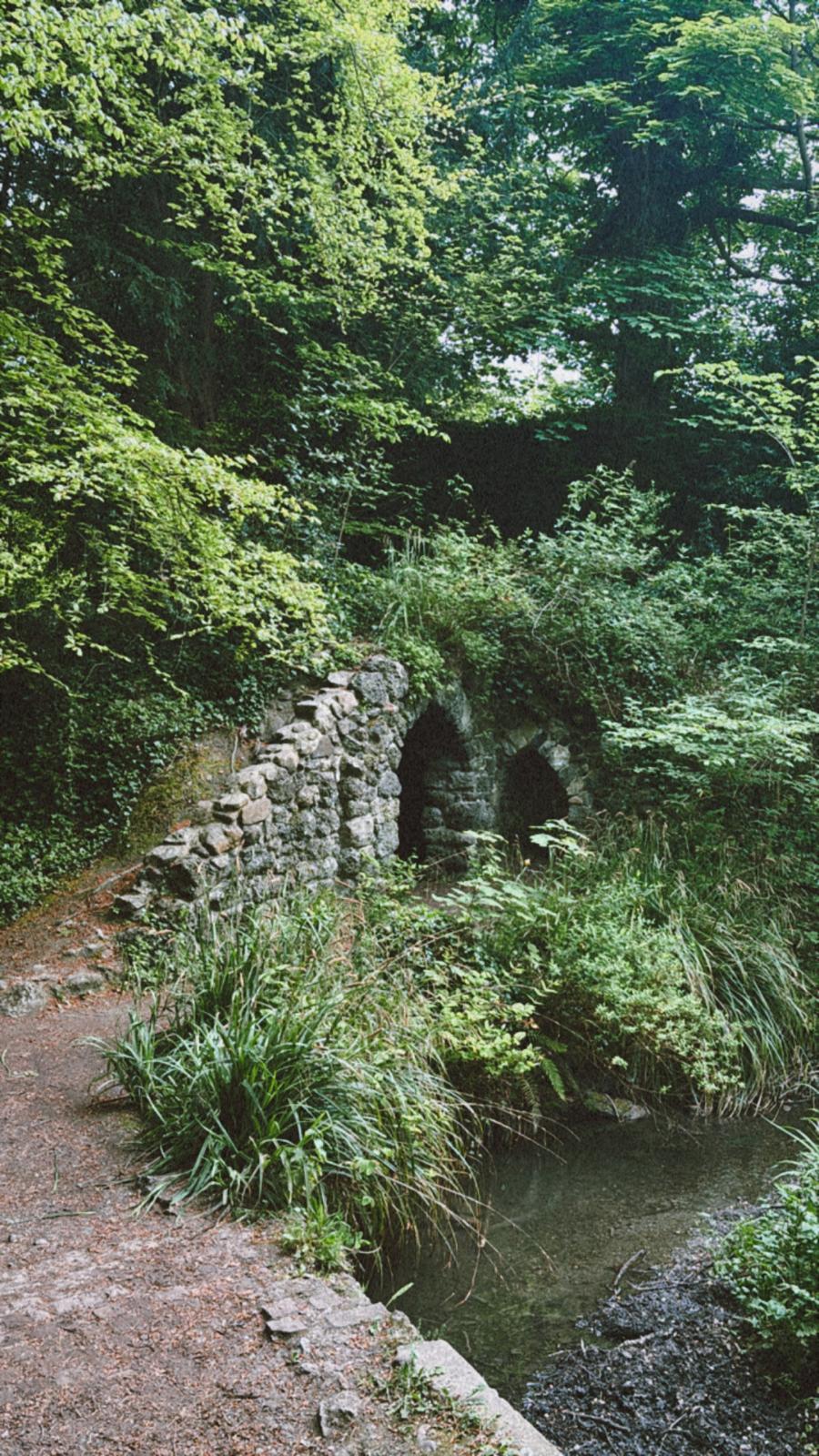 Nature photograph