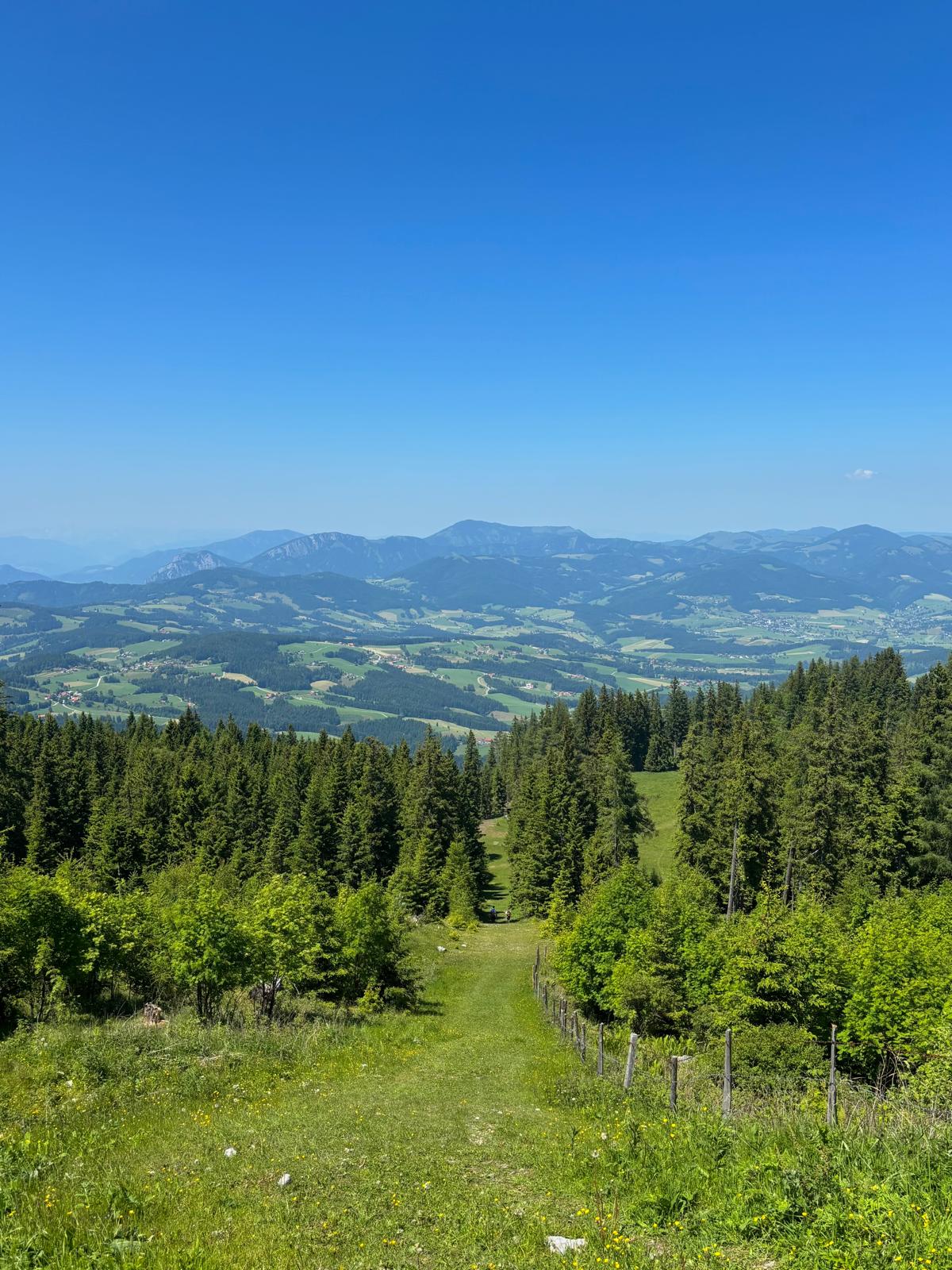 Nature photograph
