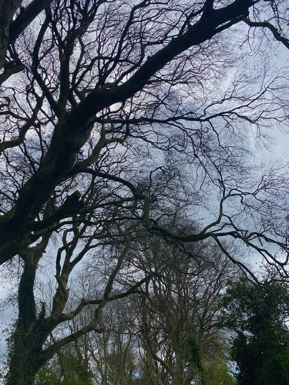 Northern Ireland photograph