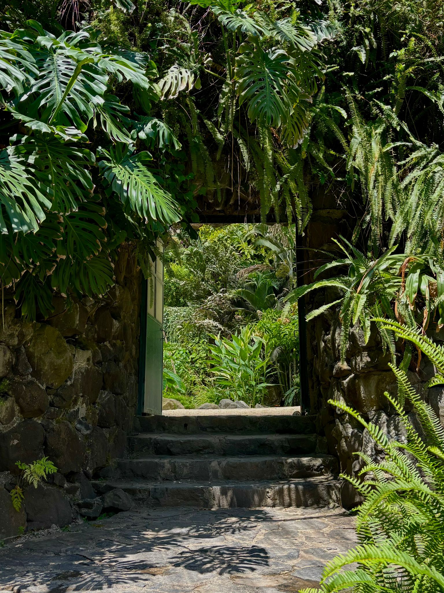 Portugal photograph