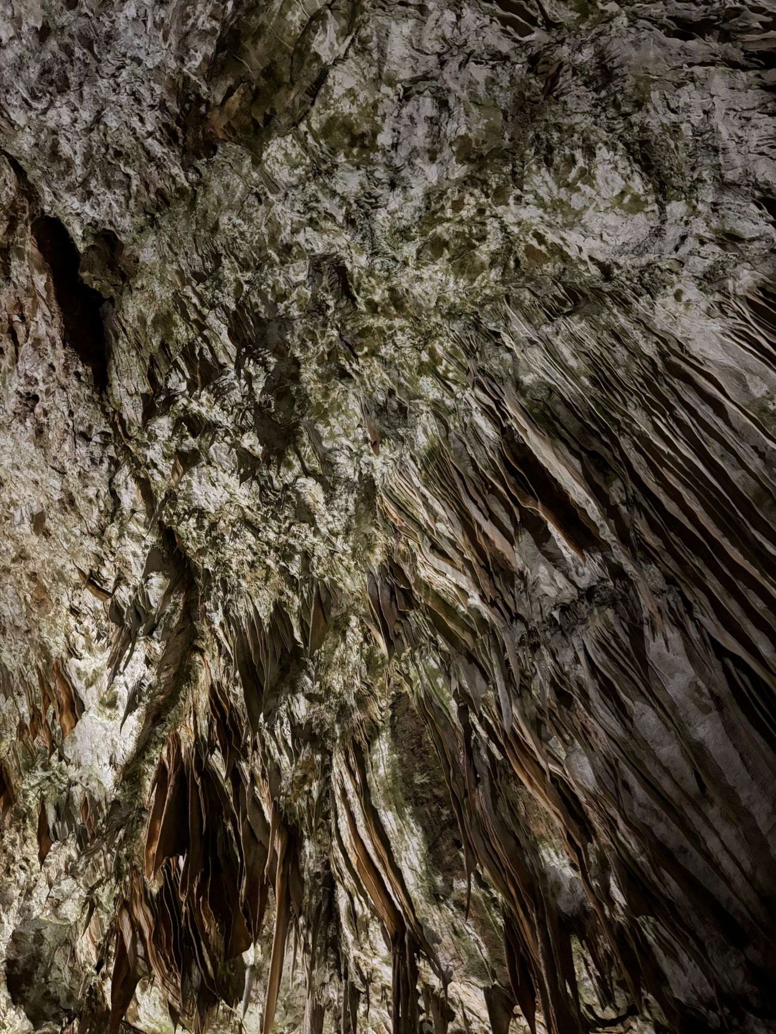 Slovenia photograph