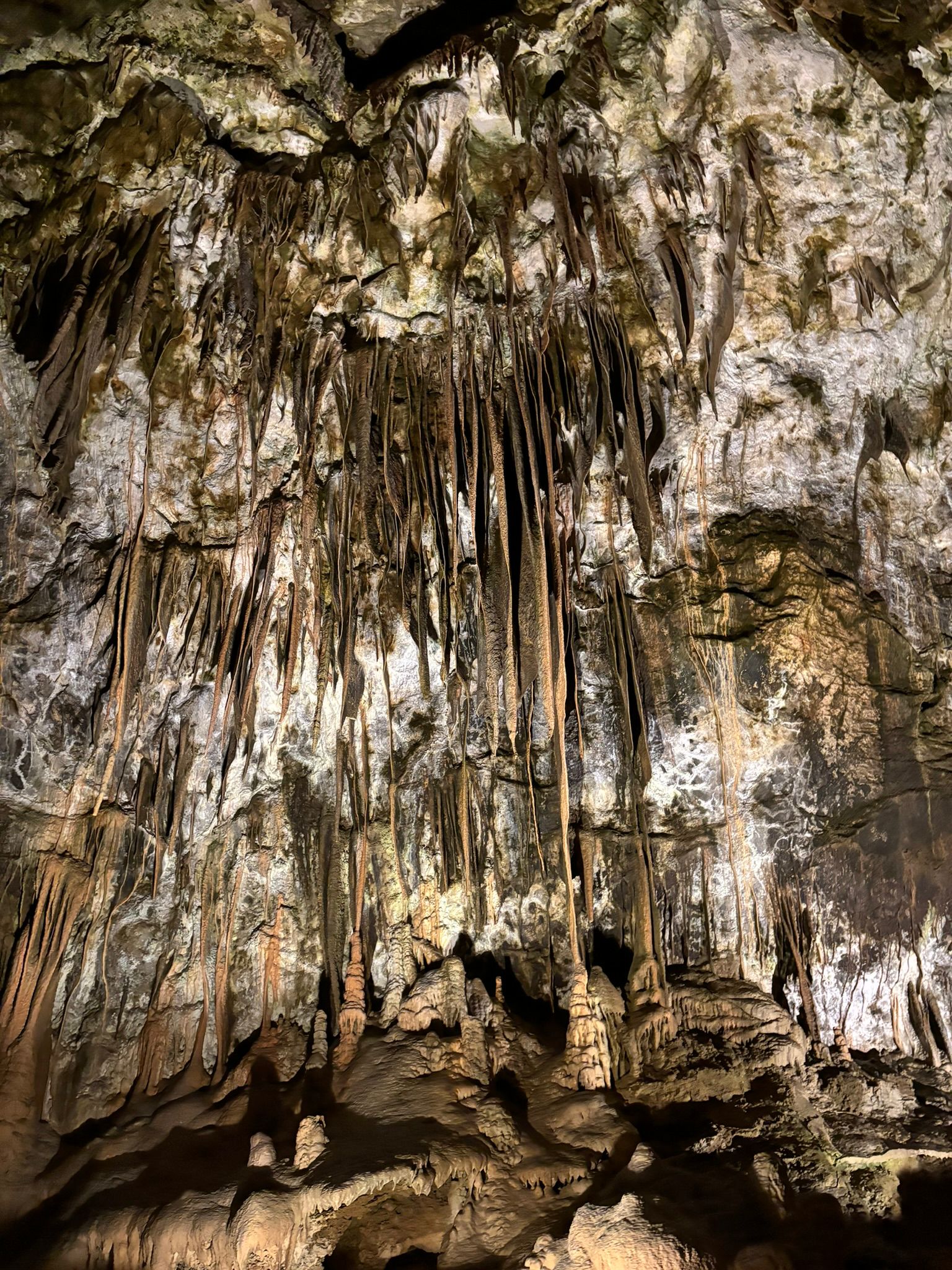 Slovenia photograph