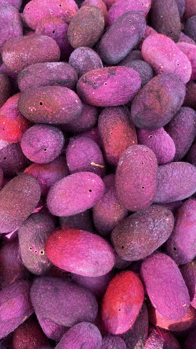 South Korea photograph