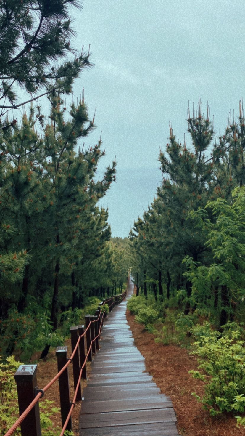 South Korea photograph