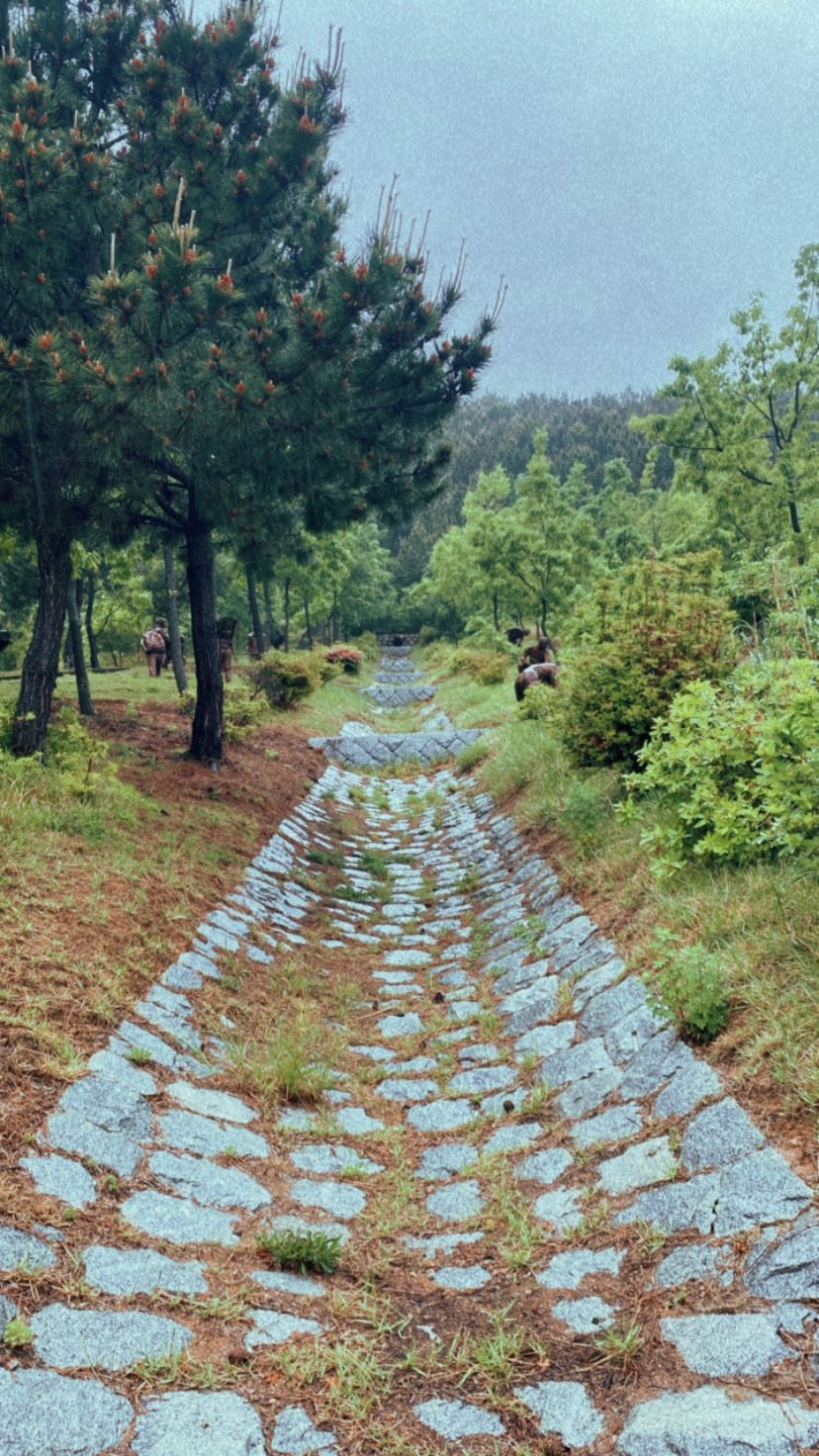 South Korea photograph