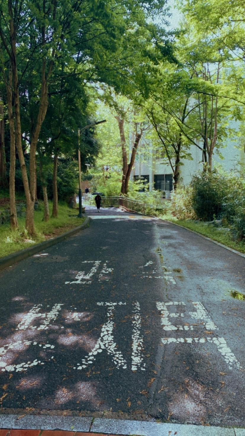 South Korea photograph
