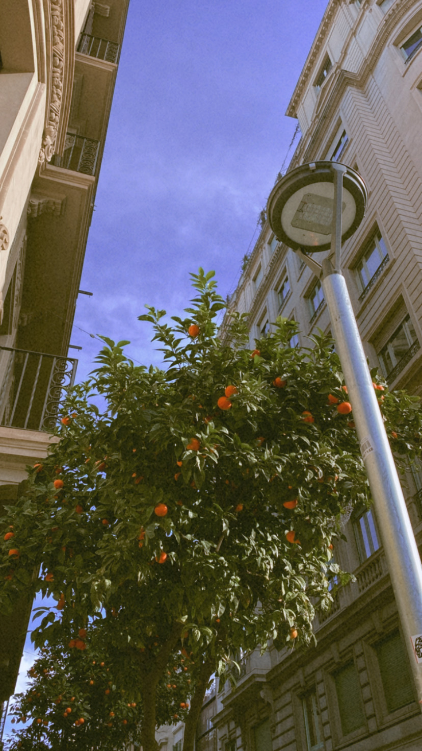 Spain photograph