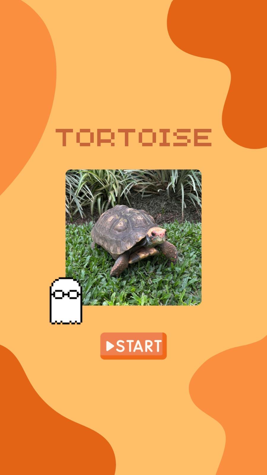 TikTok feed post 5