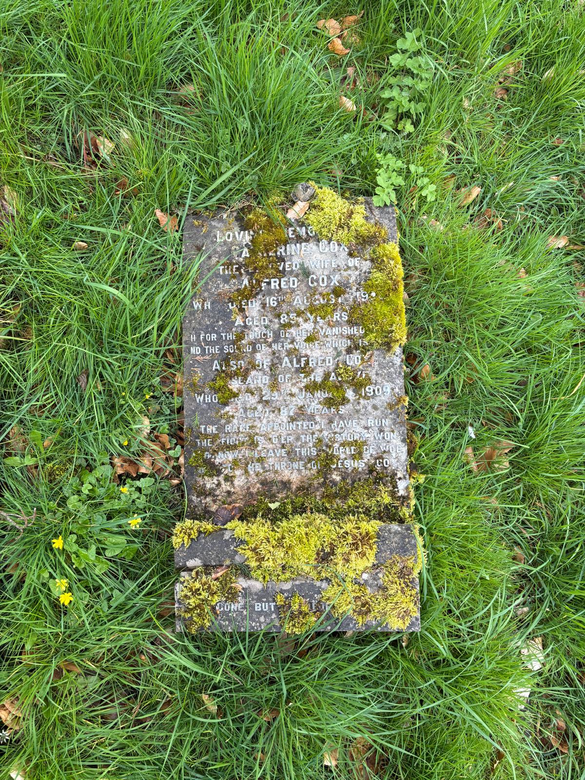 Wales photograph