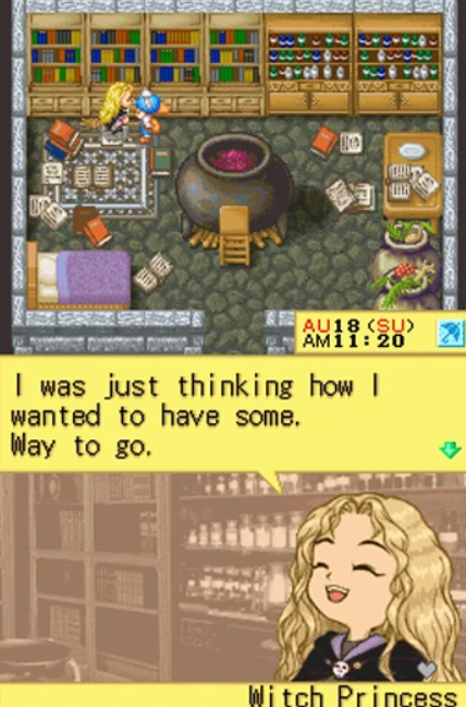 The Witch Princess in Harvest Moon DS.