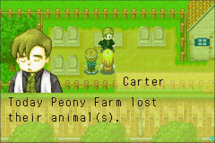 A funeral for a deceased animal in Harvest Moon: More Friends of Mineral Town (2003).