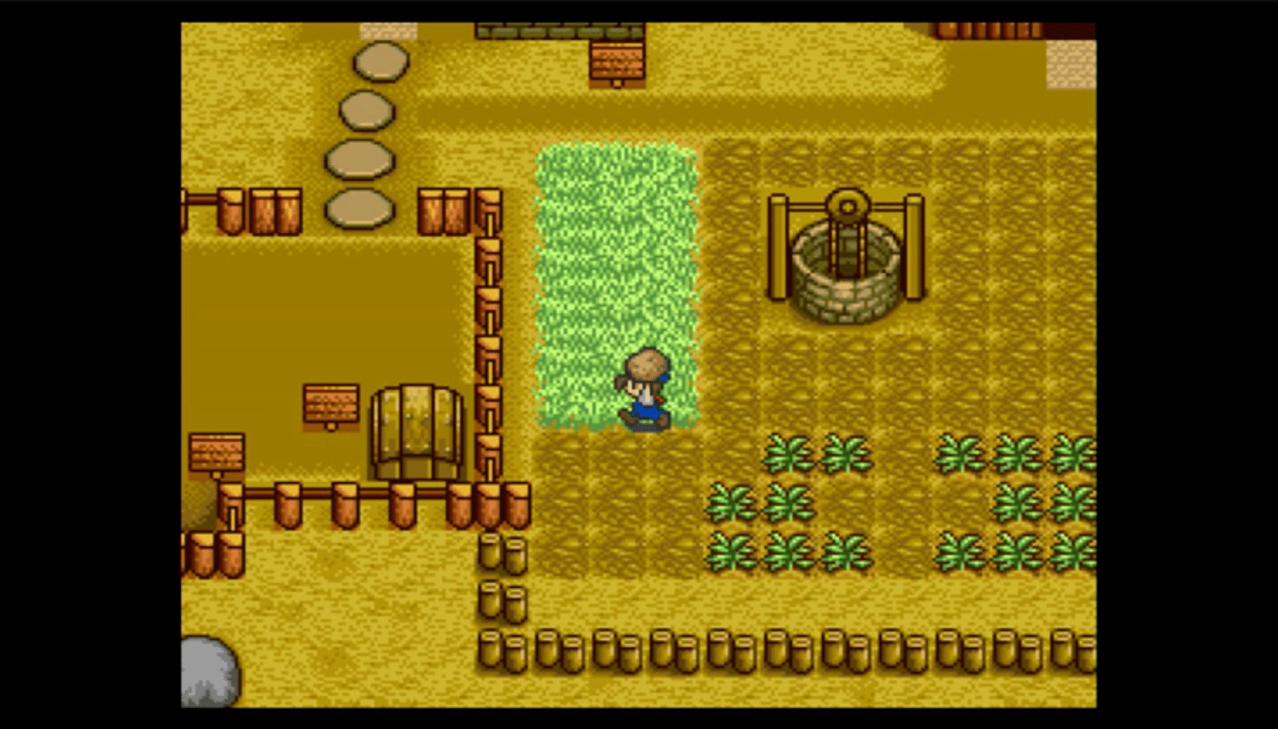 Harvest Moon (1996).
